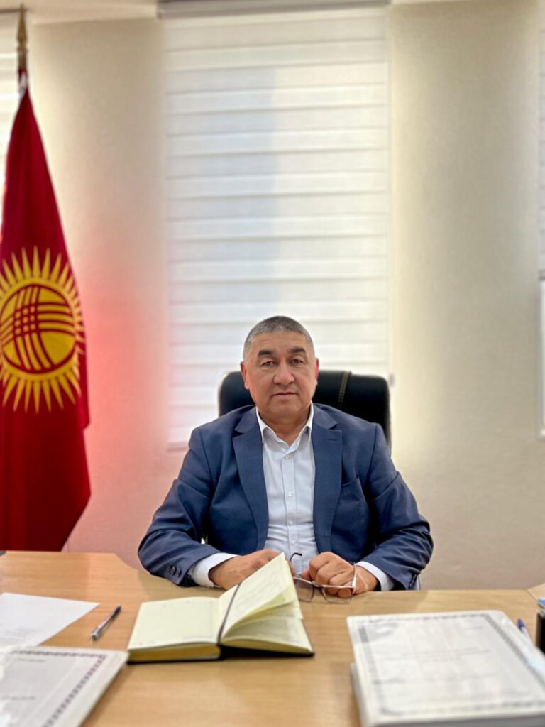 Жаңы дайындоо